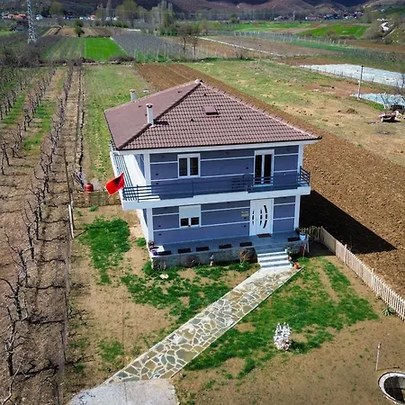 E Shtojzovalleve